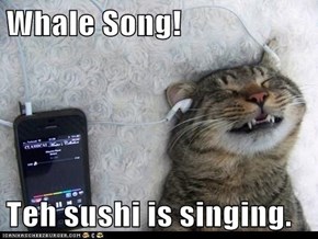 Whale Song!  Teh sushi is singing.