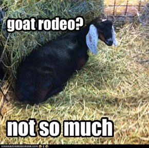 goat rodeo?