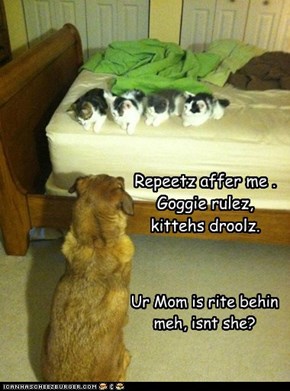 Repeetz affer me . Goggie rulez, kittehs droolz.