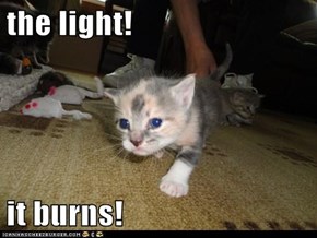 the light!   it burns!
