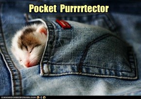 Pocket  Purrrrtector