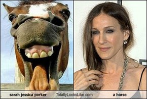 sarah jessica parker Totally Looks Like a horse