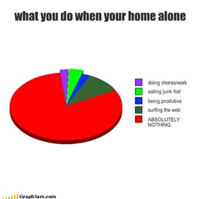 what you do when your home alone