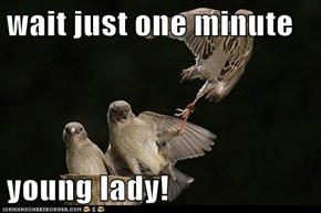 wait just one minute   young lady!