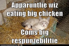 Apparuntlie wiz eating big chicken  Coms big respunzebilitie
