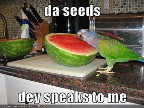 da seeds  dey speaks to me