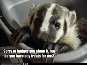 Sorry to badger you about it, but do you have any treats for me?