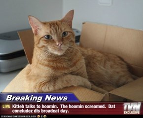 Breaking News - Kitteh talks to hoomin.  The hoomin screamed.  Dat concludez dis broadcat day.
