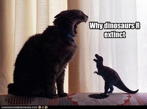 Why dinosaurs R extinct