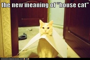 the new meaning of "house cat"