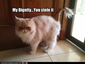 no dignity