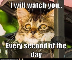 I will watch you..  Every second of the day