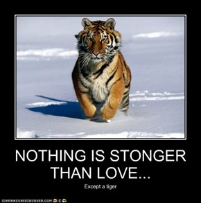 NOTHING IS STONGER THAN LOVE...