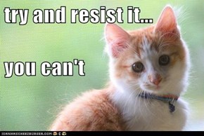 try and resist it... you can't