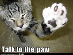 Talk to the paw