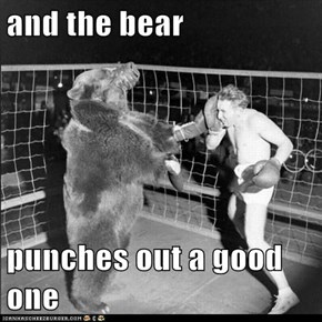 and the bear  punches out a good one