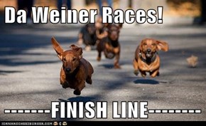 Da Weiner Races!  -------FINISH LINE--------