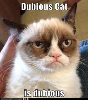 Dubious Cat  is dubious