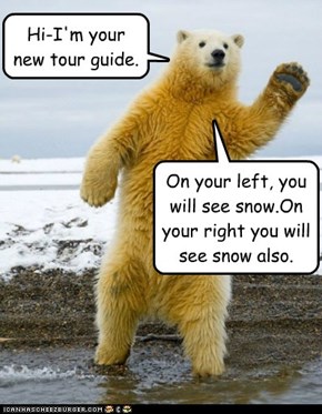 Hi-I'm your new tour guide.