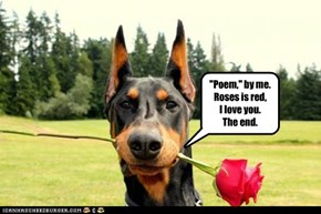 Dog poetry gets right to the point