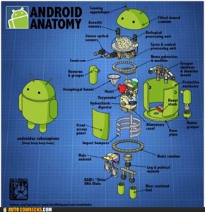 Android Anatomy