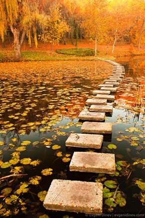 A Hop Skip and Jump Into Fall