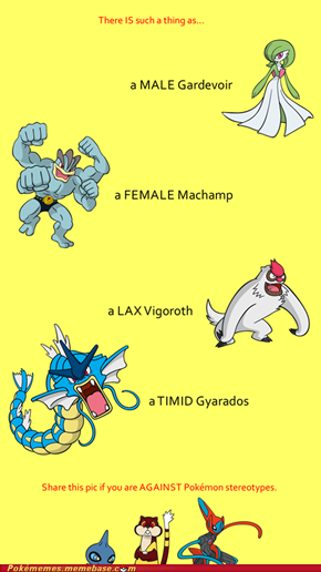 Pokémon Stereotypes: END THE MADNESS!