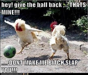 hey! give the ball back .... THATS MINE!!!    ..... DONT MAKE ME BITCH SLAP YOU!!!