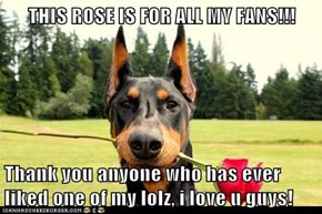 THIS ROSE IS FOR ALL MY FANS!!!  Thank you anyone who has ever liked one of my lolz, i love u guys!