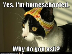 Yes. I'm homeschooled.  Why do you ask?