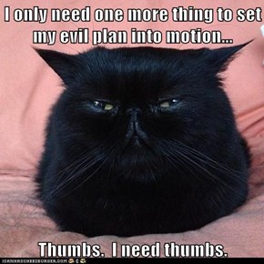 I only need one more thing to set my evil plan into motion...  Thumbs.  I need thumbs.