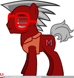 Miami has a new mascot