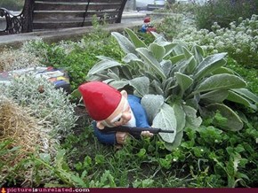 Sniper Gnome