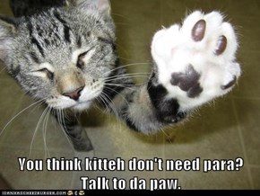 You think kitteh don't need para? Talk to da paw.