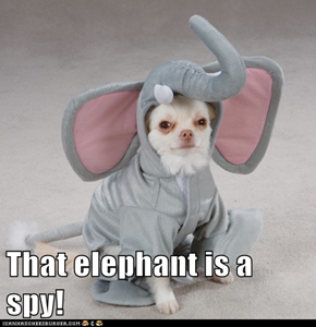 That elephant is a spy!