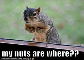 my nuts are where??
