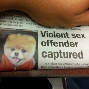 Sex Offender Fail