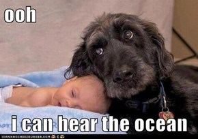 ooh  i can hear the ocean