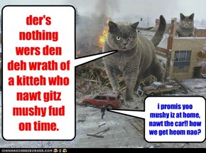 der's nothing wers den deh wrath of a kitteh who nawt gitz mushy fud on time.