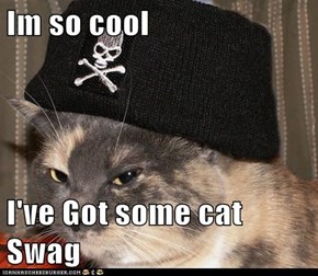 Im so cool  I've Got some cat Swag