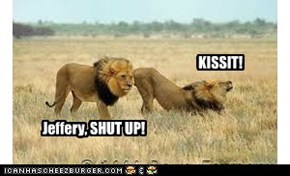 LOL Lions: Kissit