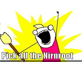 Pick all the Nirnroot