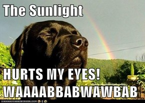 The Sunlight  HURTS MY EYES! WAAAABBABWAWBAB