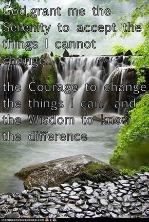 God,grant me the Serenity to accept the things I cannot change.. the Courage to change the things I can.. and the Wisdom to know the difference