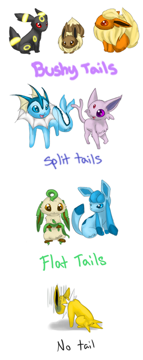 No tail.