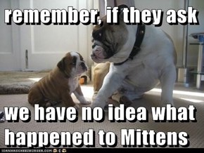 remember, if they ask  we have no idea what happened to Mittens