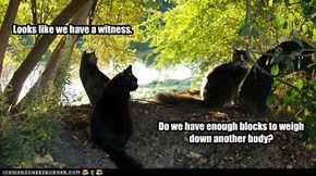 Looks like we have a witness.