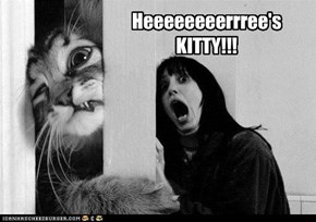 Heeeeeeeerrree's KITTY!!!