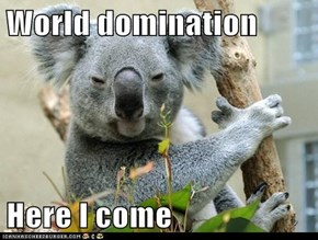 World domination  Here I come