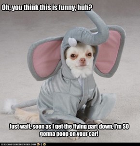 Oh, you think this is funny, huh?